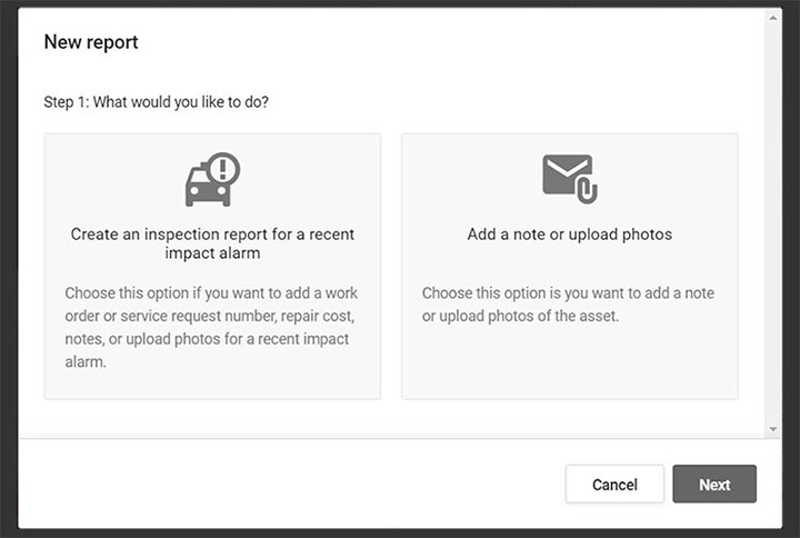 Screenshot: Inspection Report